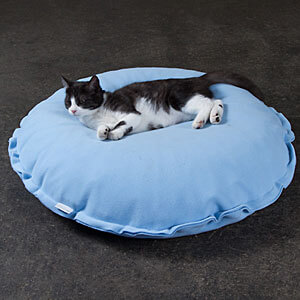 Little black and white cat cuddling in its circular highend luxury cat cushion