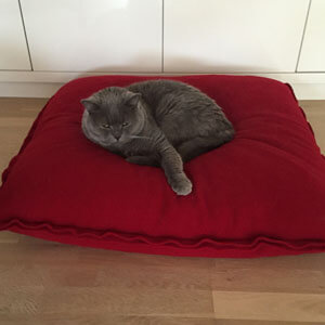 Dizzeling nice cat in cozy red fleece cushion from pet-interiors
