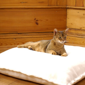 Cream coloured orthopedic cat bed cushion with highend latex filling