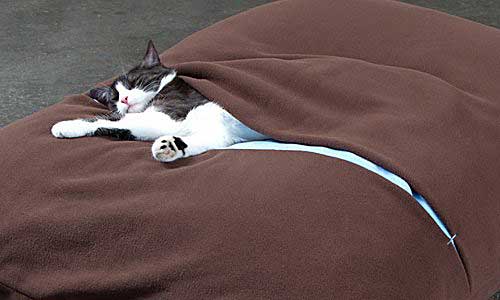 Katzen-Schlafsack
