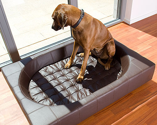 Dog-bed-luxus-design-orthopedic-high-end-exclusive-pet-interiors