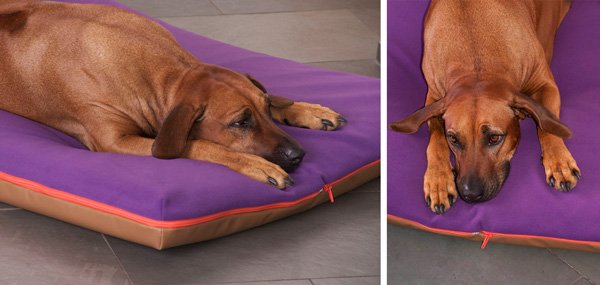 divano per cani viscoelastico consente al vostro animale di riposarsi in posizione rilassata e naturale