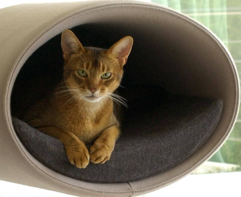 cat cave from wool-felt