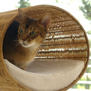 Wandmontiertes Katzen-Körbchen