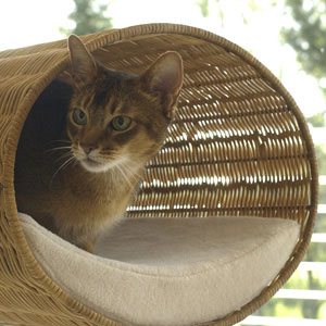 Cat condo from rattan cane