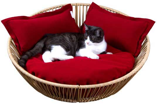 Saleen woven cat basket