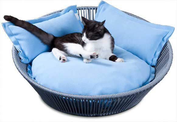 cat basket wrapped with PP rope
